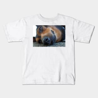 closeup of a sleeping dog Kids T-Shirt